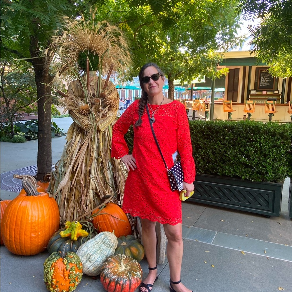 J Crew Eyelet mini dress